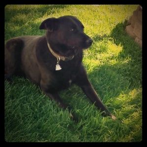 Thanks for stopping by!